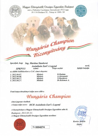 Maďarský šampión/ Hungarian champion